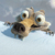 d-russo :icond-russo: