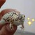 DaBrutalFish :icondabrutalfish: