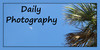 Daily-Photography's avatar