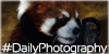 DailyPhotography's avatar