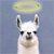 dali-llama :icondali-llama: