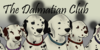 DalmatianClub's avatar