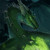DancingDragon18 :icondancingdragon18: