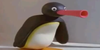 Noot Noot Nsfw