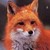 :icondany-the-hell-fox: