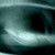 Dark--Shadows :icondark--shadows: