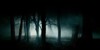 :icondark-forest-tales: