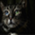 darkmoonvampire :icondarkmoonvampire: