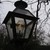 Darkravenrose :icondarkravenrose: