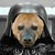 DarqueH :icondarqueh:
