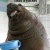 Darth-Snickers :icondarth-snickers: