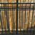 datduck100 :icondatduck100: