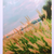 daudenngusi :icondaudenngusi: