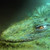 davate10 :icondavate10: