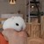 DavetheBunnyboy :icondavethebunnyboy: