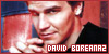 David-Boreanaz-Love's avatar