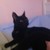 Dawnpoppy6 :icondawnpoppy6:
