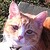 Daydream-Beilever66 :icondaydream-beilever66: