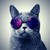daz68 :icondaz68: