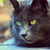 DBoydPhotography :icondboydphotography: