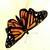 DeadlyFluffy :icondeadlyfluffy: