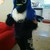 deadlypug01 :icondeadlypug01: