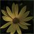Deathcase :icondeathcase: