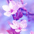 Deathly-dream :icondeathly-dream: