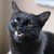 DeceasedUK :icondeceaseduk: