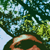 DeviantArt profile picture for @deceptive on DeviantArt