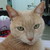 dee987 :icondee987: