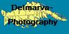 Delmarva-Photography's avatar