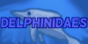 Delphinidaes's avatar