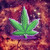 Demon0082 :icondemon0082: