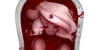 Demonic-Ponies's avatar