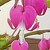 :icondenise199:
