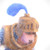 deniszilc :icondeniszilc: