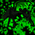 :icondenki41199: