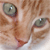 DeviantArt profile picture for @denon on DeviantArt