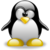 DesertTurtle :icondesertturtle: