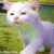 Design221 :icondesign221: