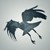 DesignMeBranding :icondesignmebranding: