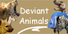 Deviant-Animals's avatar