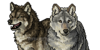 Deviant-Wolves's avatar