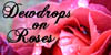 :icondewdrops-on-roses: