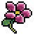 :icondf-pinkflower: