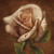 DiardanRose :icondiardanrose:
