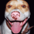 :icondiesel: