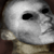 digimortal :icondigimortal: