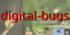 Digital-Bugs's avatar